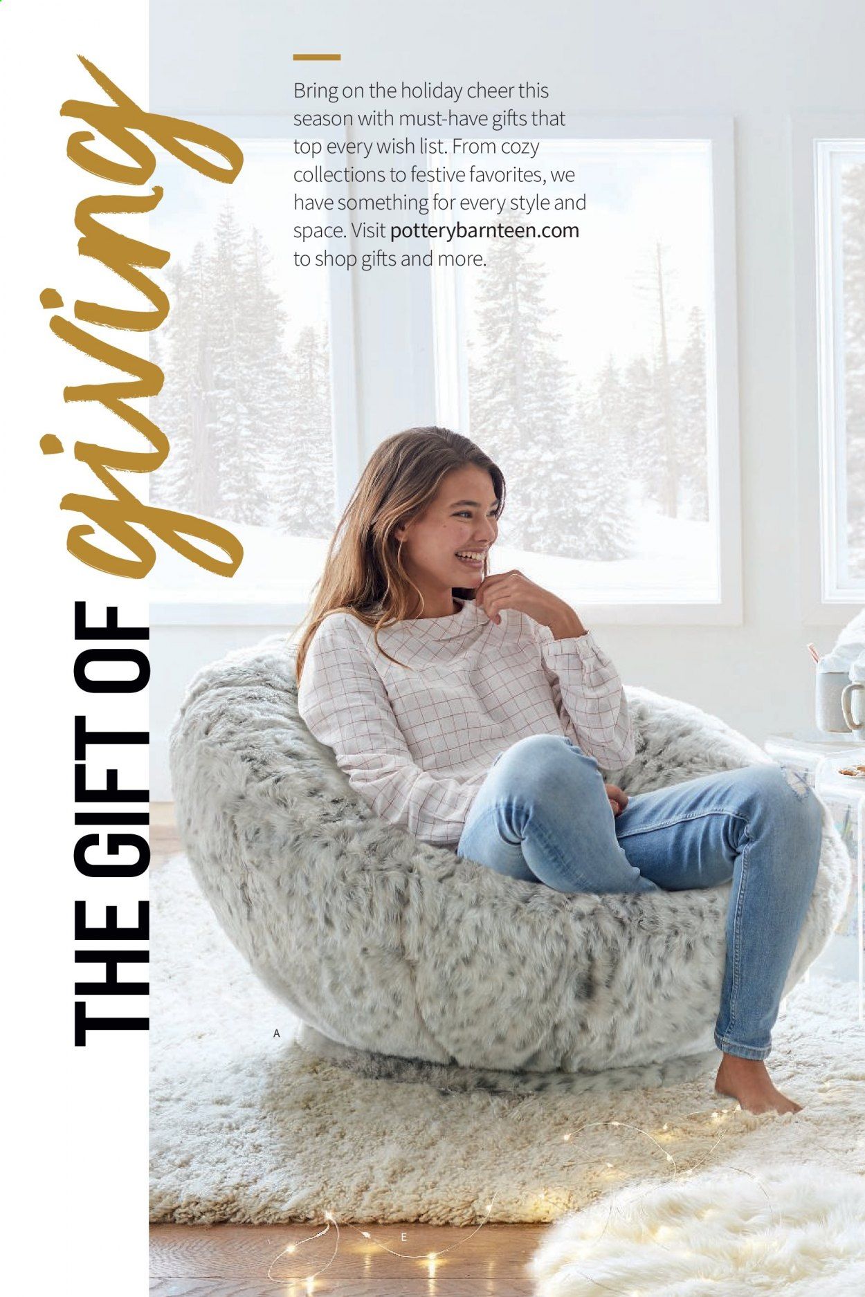 PBteen Weekly Ad Flyer November 24 to December 1