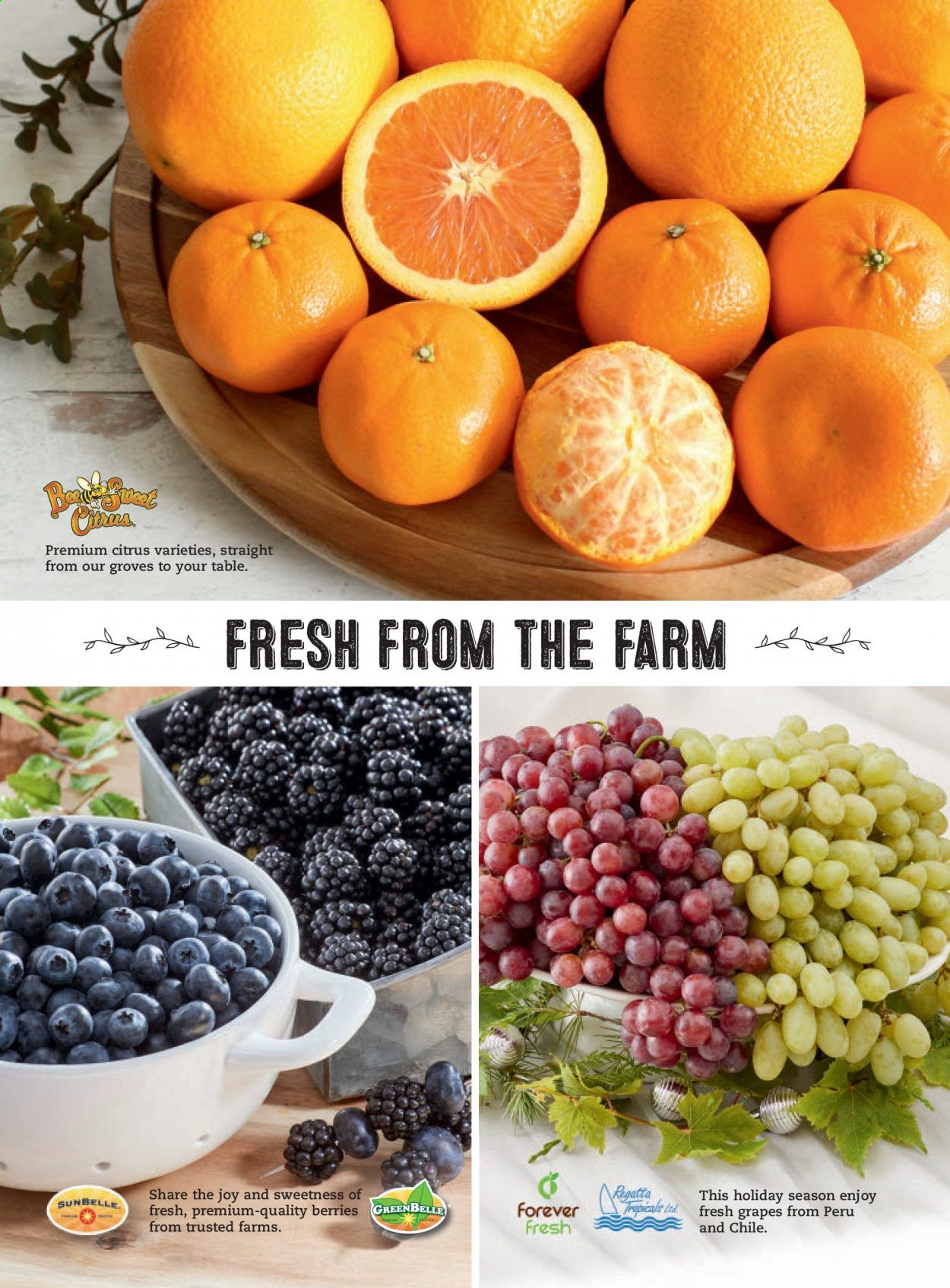 Costco Weekly Ad Flyer December 2 to December 9