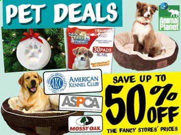 Ollie's Bargain Outlet Weekly Ad Flyer December 1 to December 31