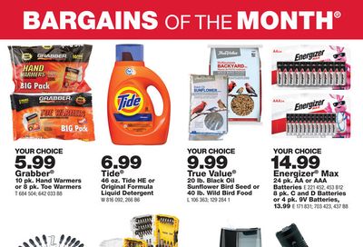 True Value Monthly Ad Flyer December 1 to December 31, 2020