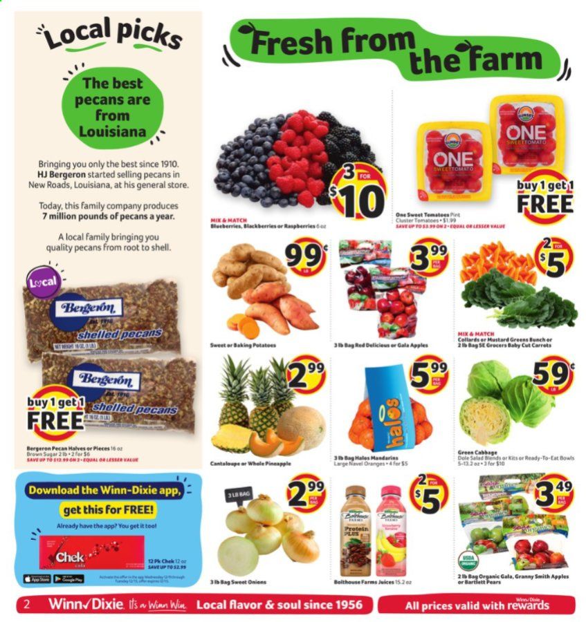 Winn Dixie (AL, FL, GA, LA, MS) Weekly Ad Flyer December 9 to December 15