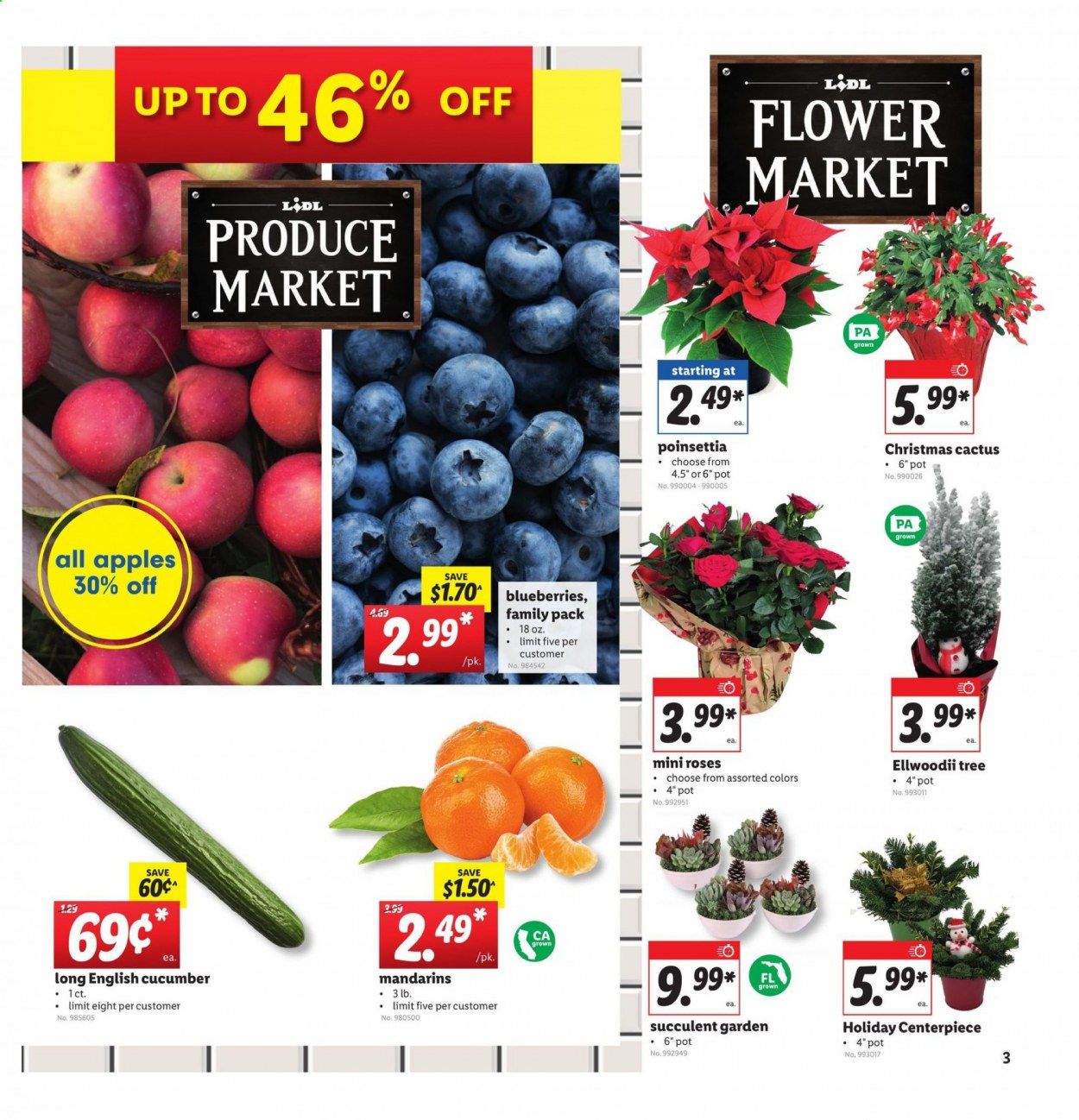 Lidl Weekly Ad Flyer December 9 to December 15