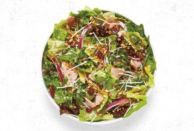 Flash MOD Menu Rolls Out the New Cranberry Honey Winter Salad at MOD Pizza