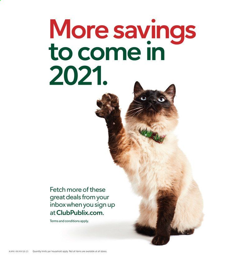 Publix (AL, FL, GA, NC, SC, TN) Weekly Ad Flyer December 10 to December 24