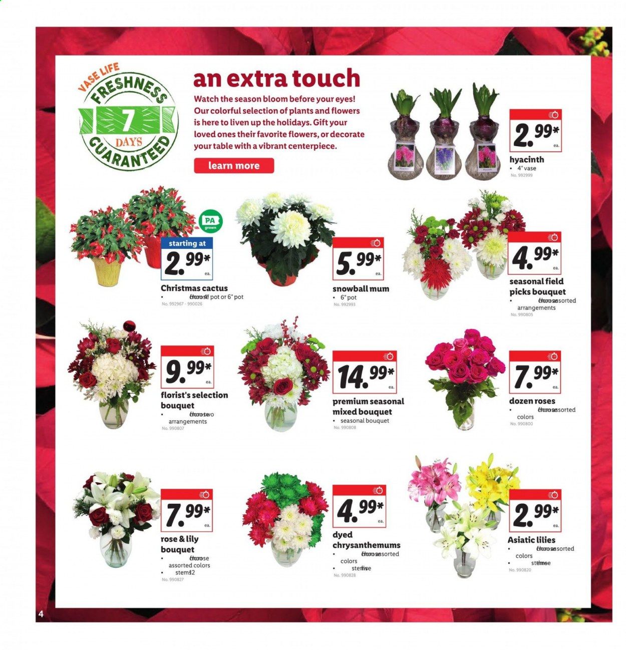 Lidl Weekly Ad Flyer December 16 to December 22