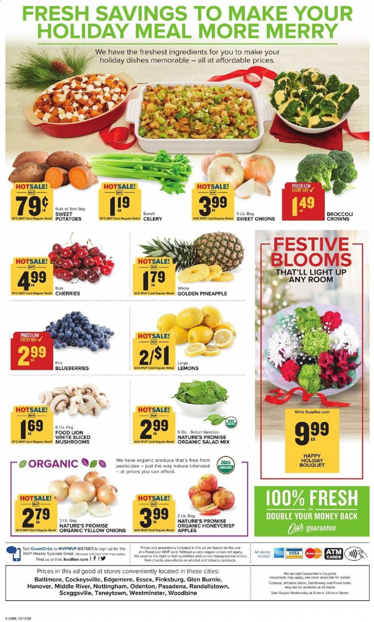 Food Lion (MD) Weekly Ad Flyer December 16 to December 24