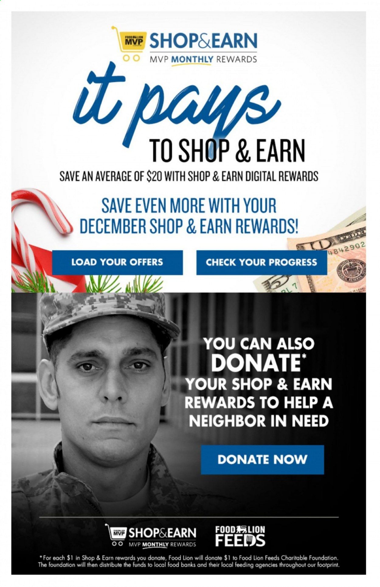 Food Lion (VA) Weekly Ad Flyer December 16 to December 24