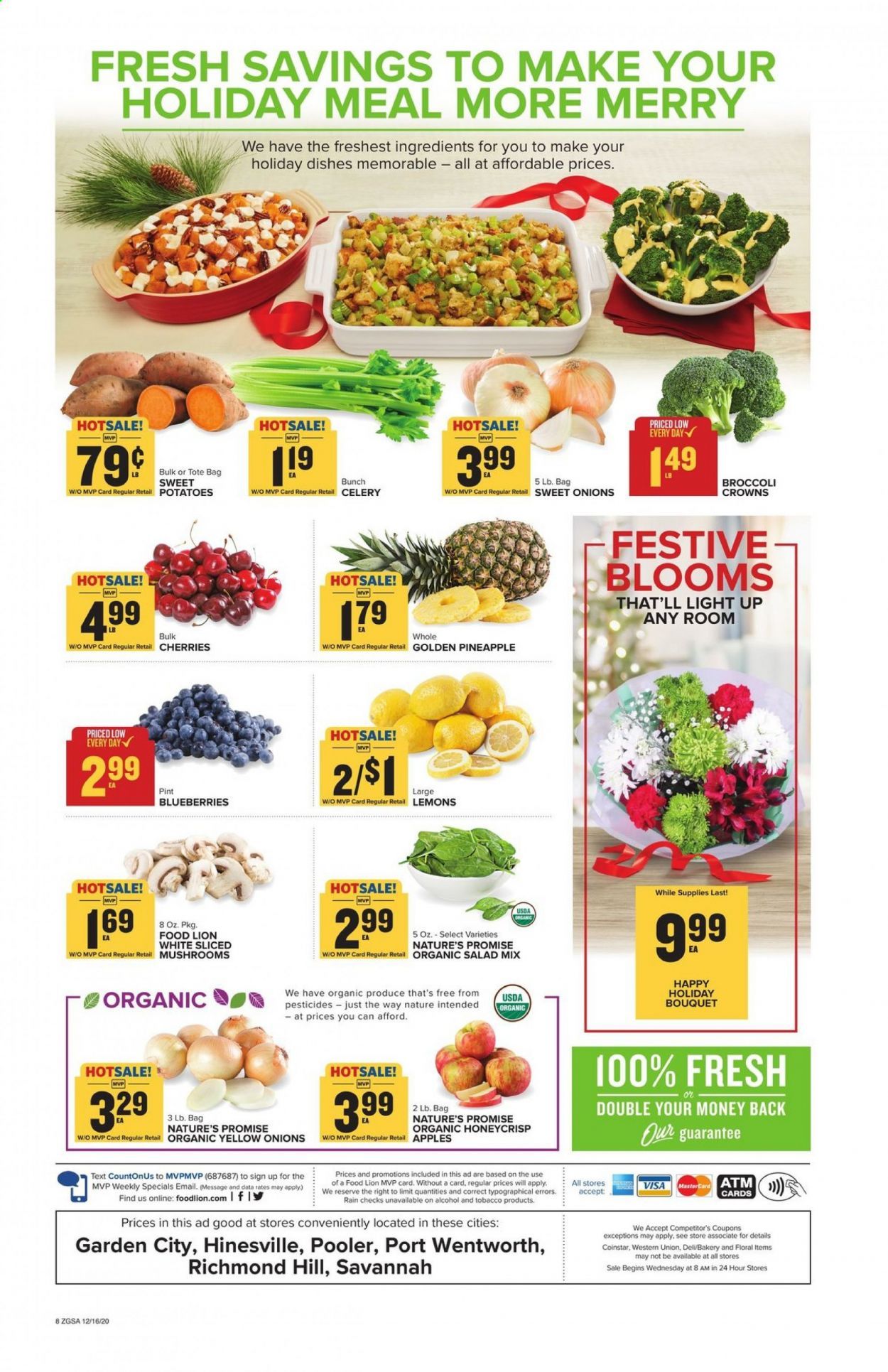 Food Lion (GA) Weekly Ad Flyer December 16 to December 24