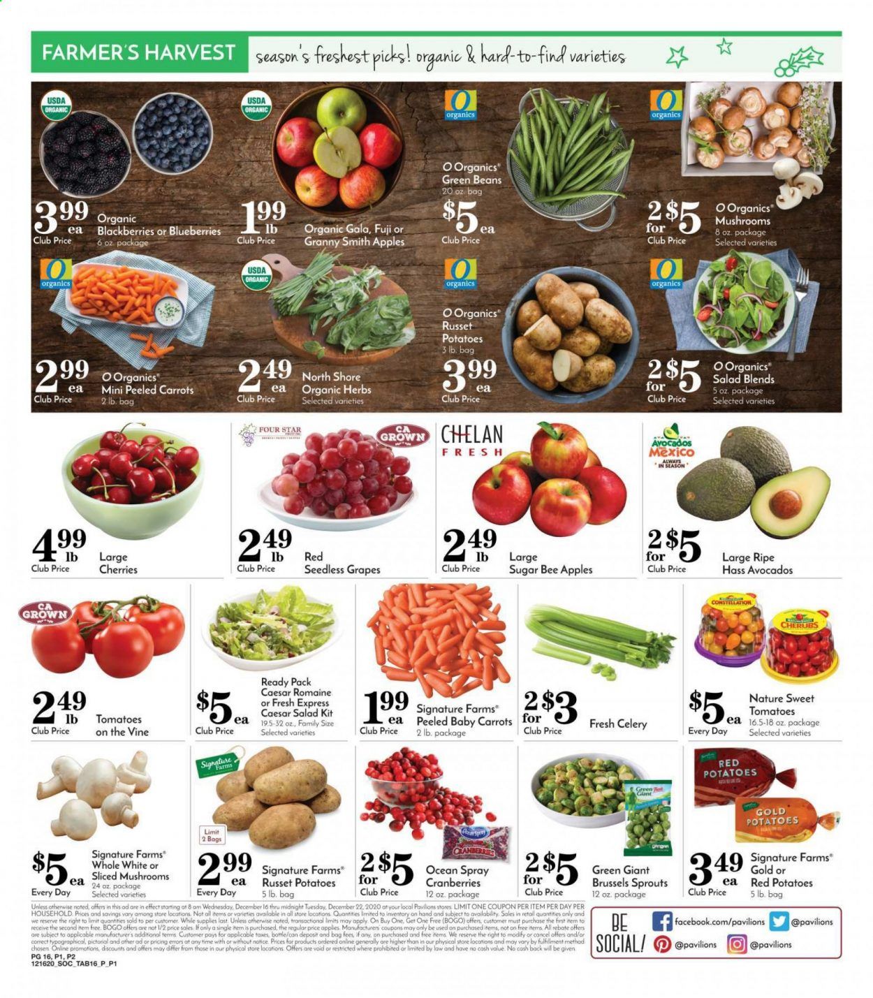 Pavilions (CA) Weekly Ad Flyer December 16 to December 24