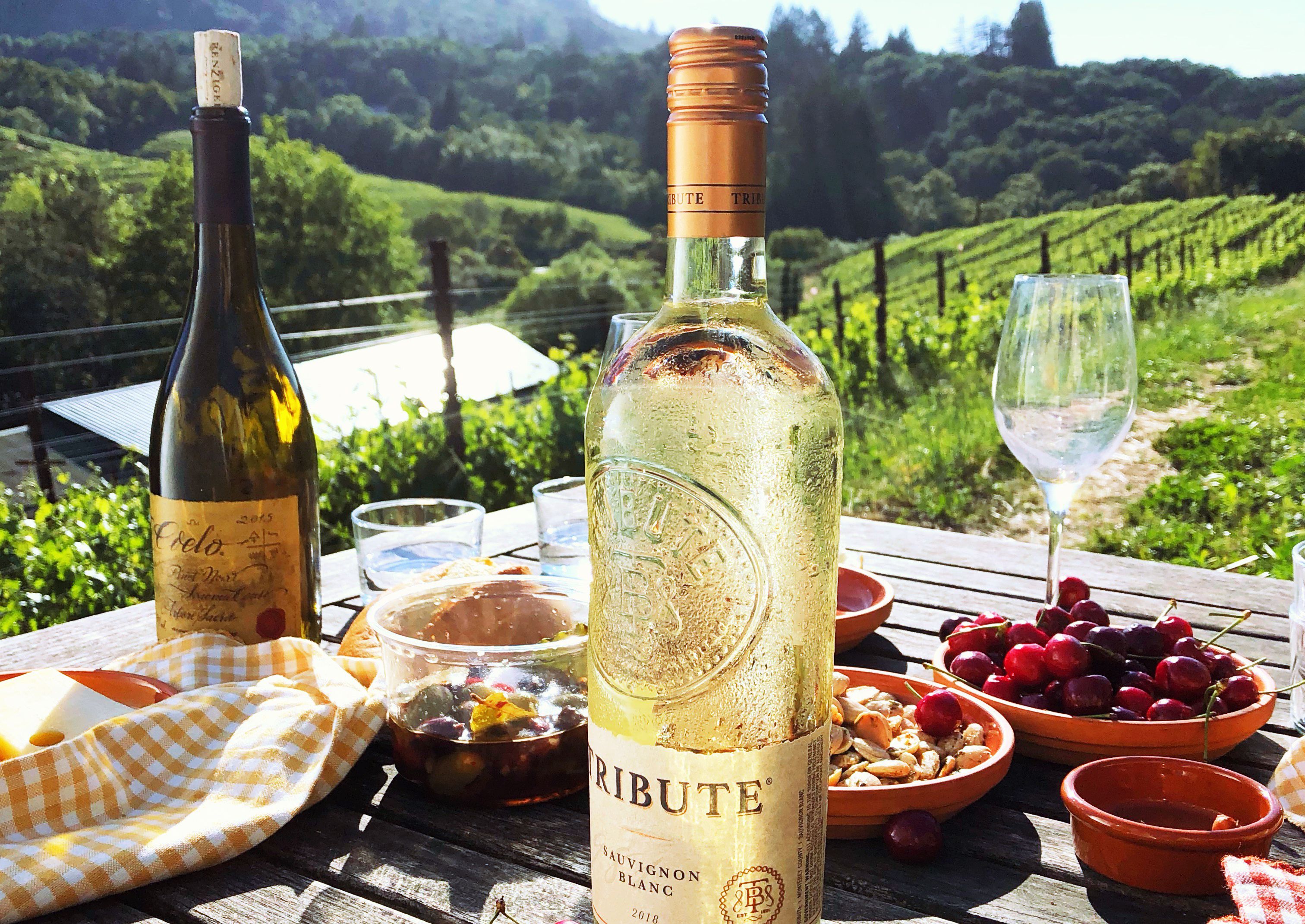 A Free Bottle of Wine is Included with Family Meal Purchase at the Lazy Dog Restaurant & Bar A Free Bottle of Wine is Included with Family Meal Purchase at the Lazy Dog Restaurant & Bar