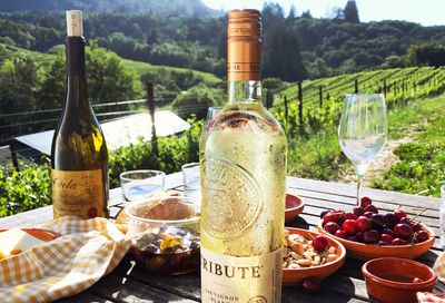 A Free Bottle of Wine is Included with Family Meal Purchase at the Lazy Dog Restaurant & Bar