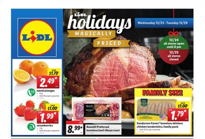 Lidl Weekly Ad Flyer December 23 to December 29