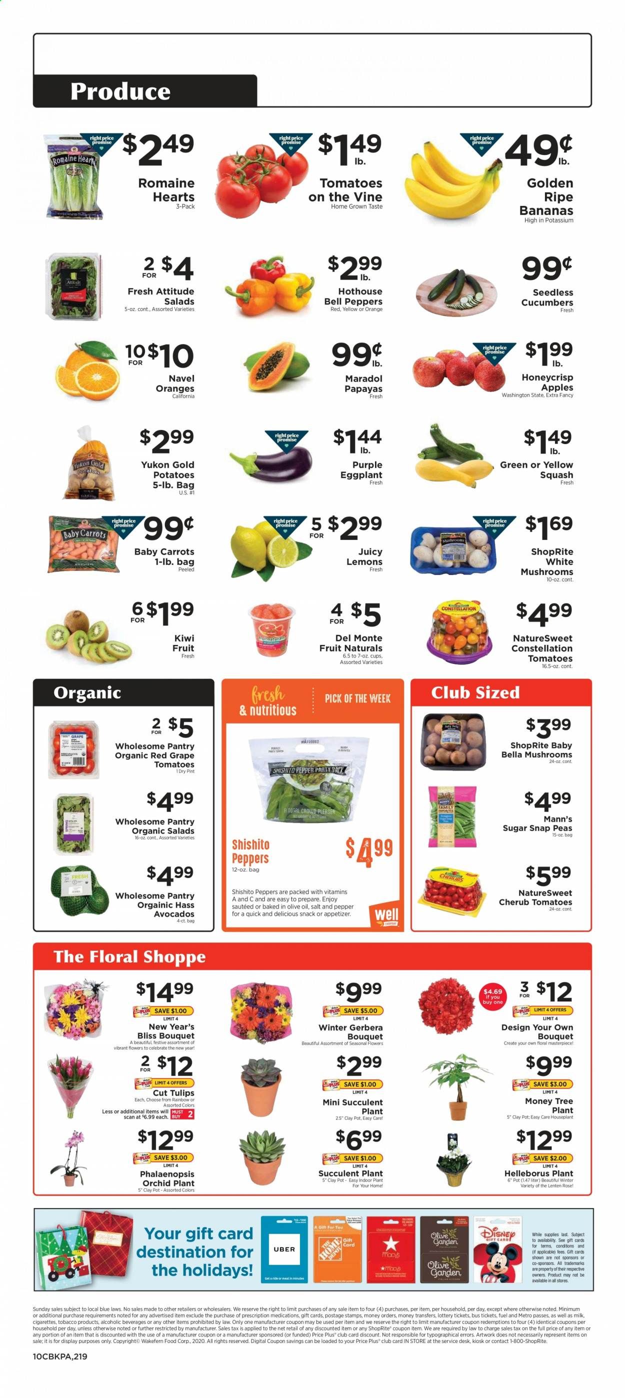ShopRite (CT, DE, MD, NJ, NY, PA) Weekly Ad Flyer December 27 to January 2