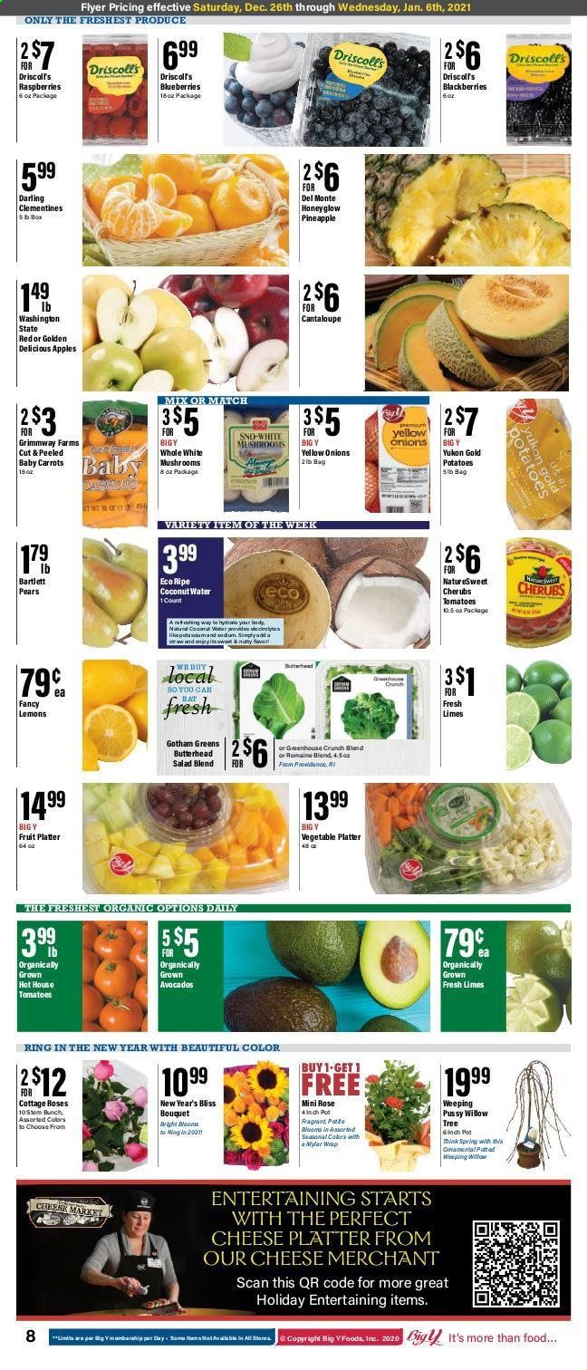 Big Y (CT) Weekly Ad Flyer December 26 to January 6