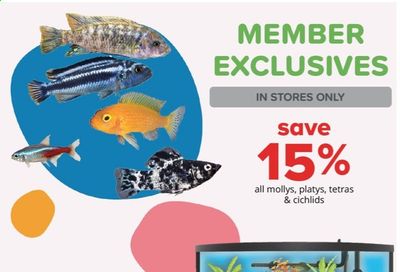 PetSmart Weekly Ad Flyer December 28 to January 31