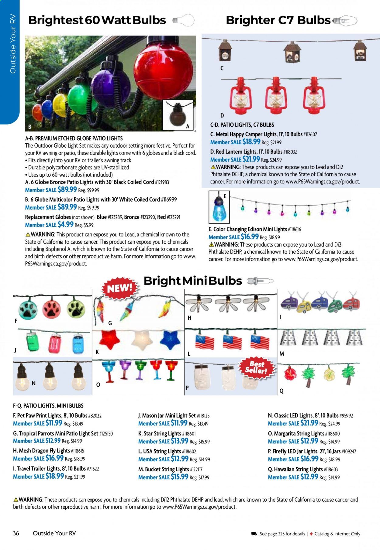 Camping World Weekly Ad Flyer December 29 to January 5