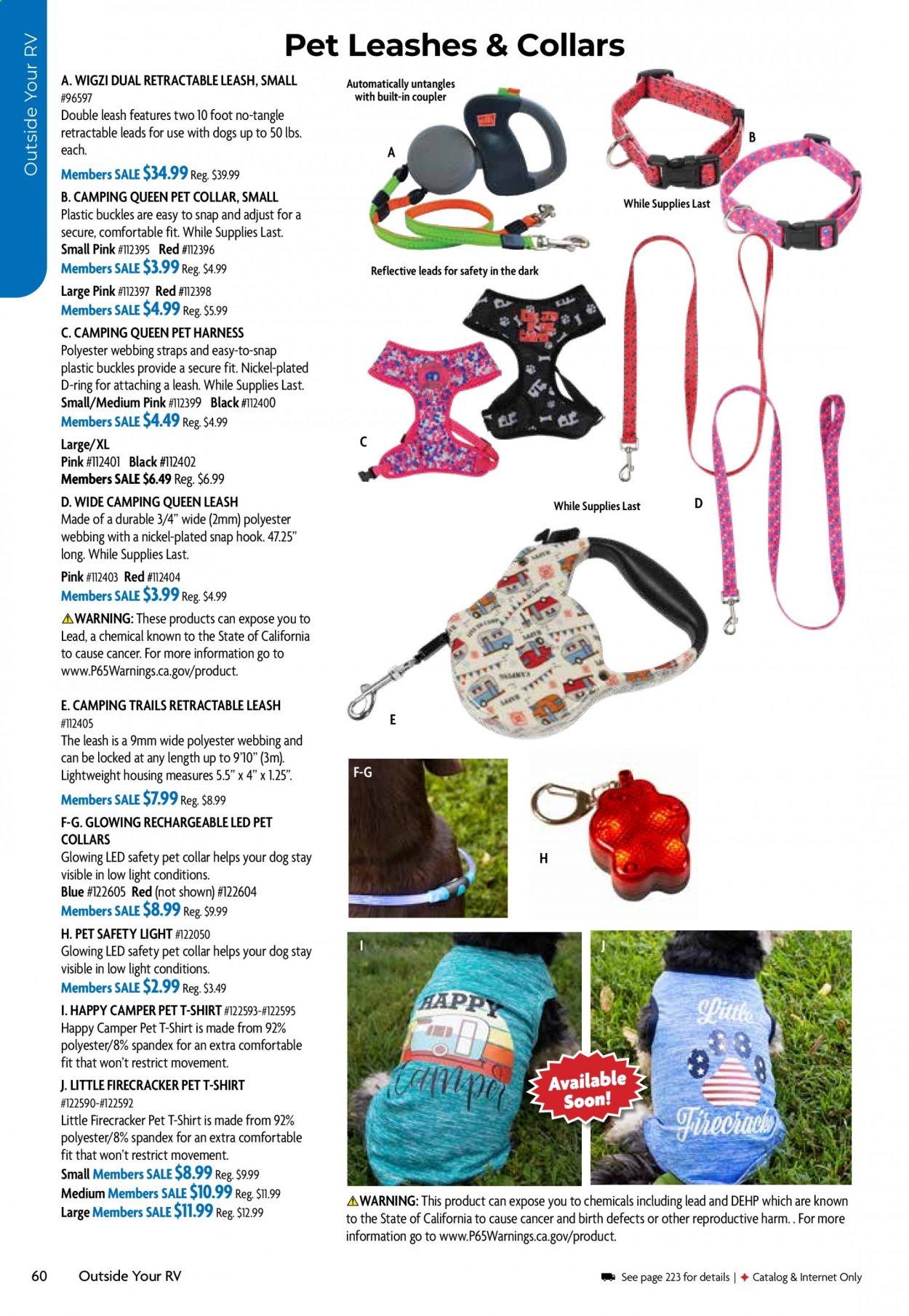 Camping World Weekly Ad Flyer December 29 to January 5