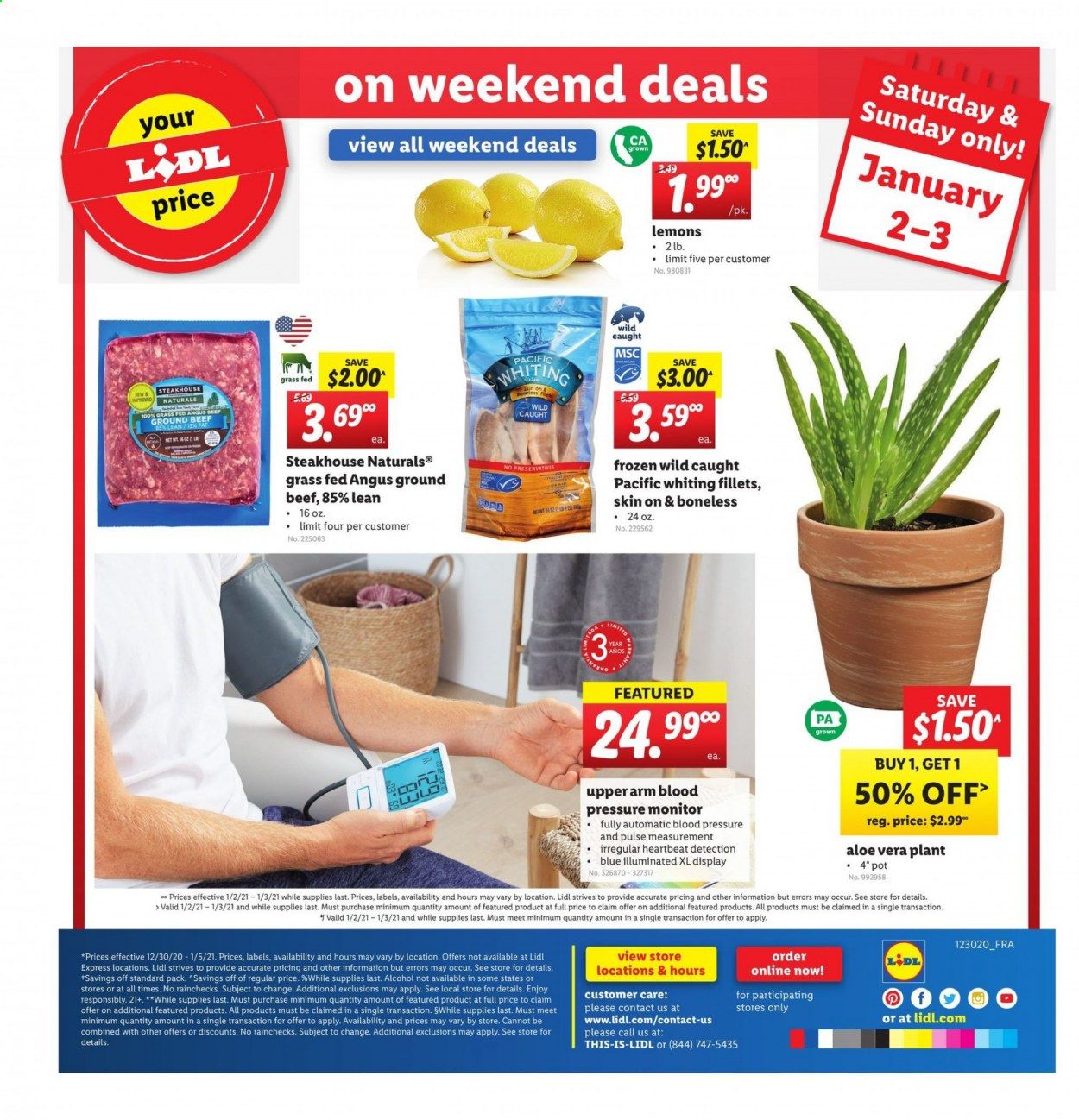 Lidl Weekly Ad Flyer December 30 to January 5