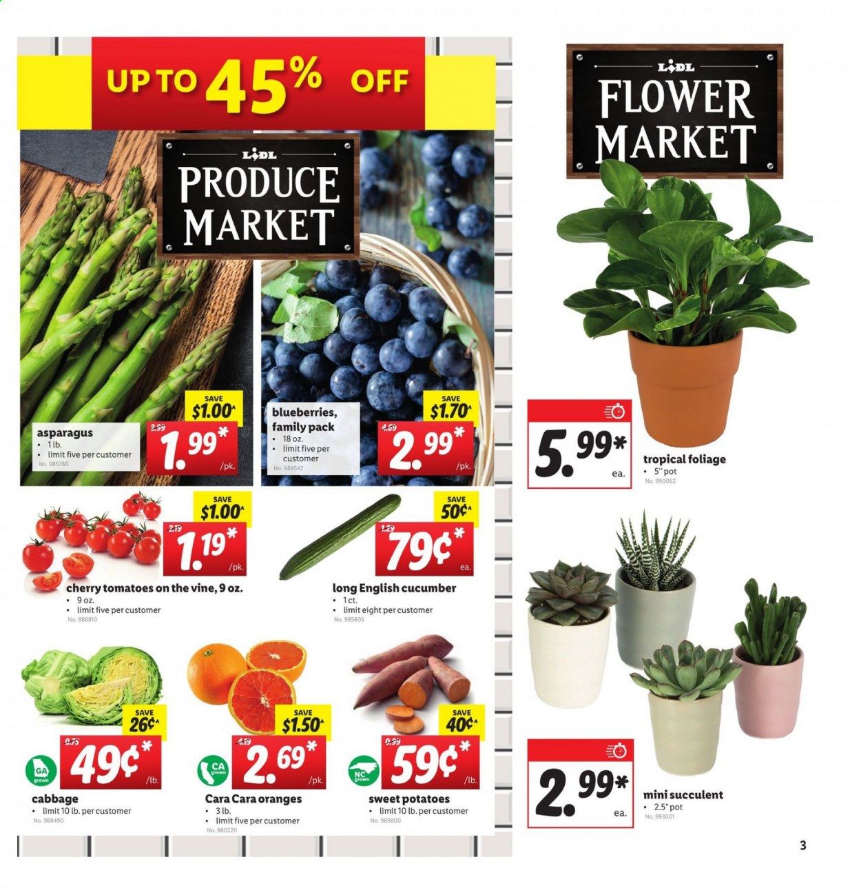 Lidl Weekly Ad Flyer December 30 to January 5