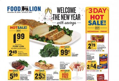 Food Lion (SC) Weekly Ad Flyer December 30 to January 5