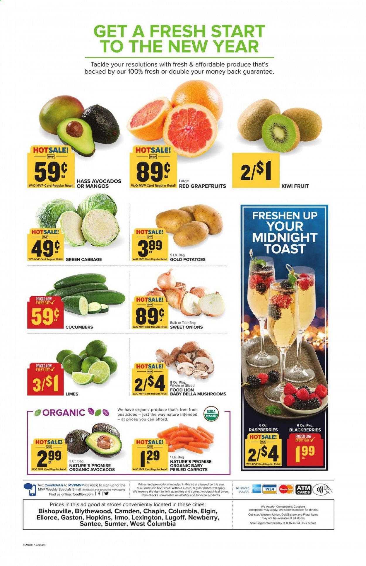 Food Lion (GA) Weekly Ad Flyer December 30 to January 5