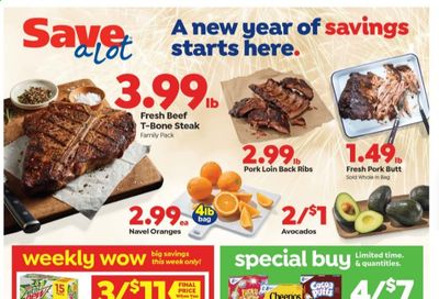 Save a Lot Weekly Ad Flyer December 30 to January 5