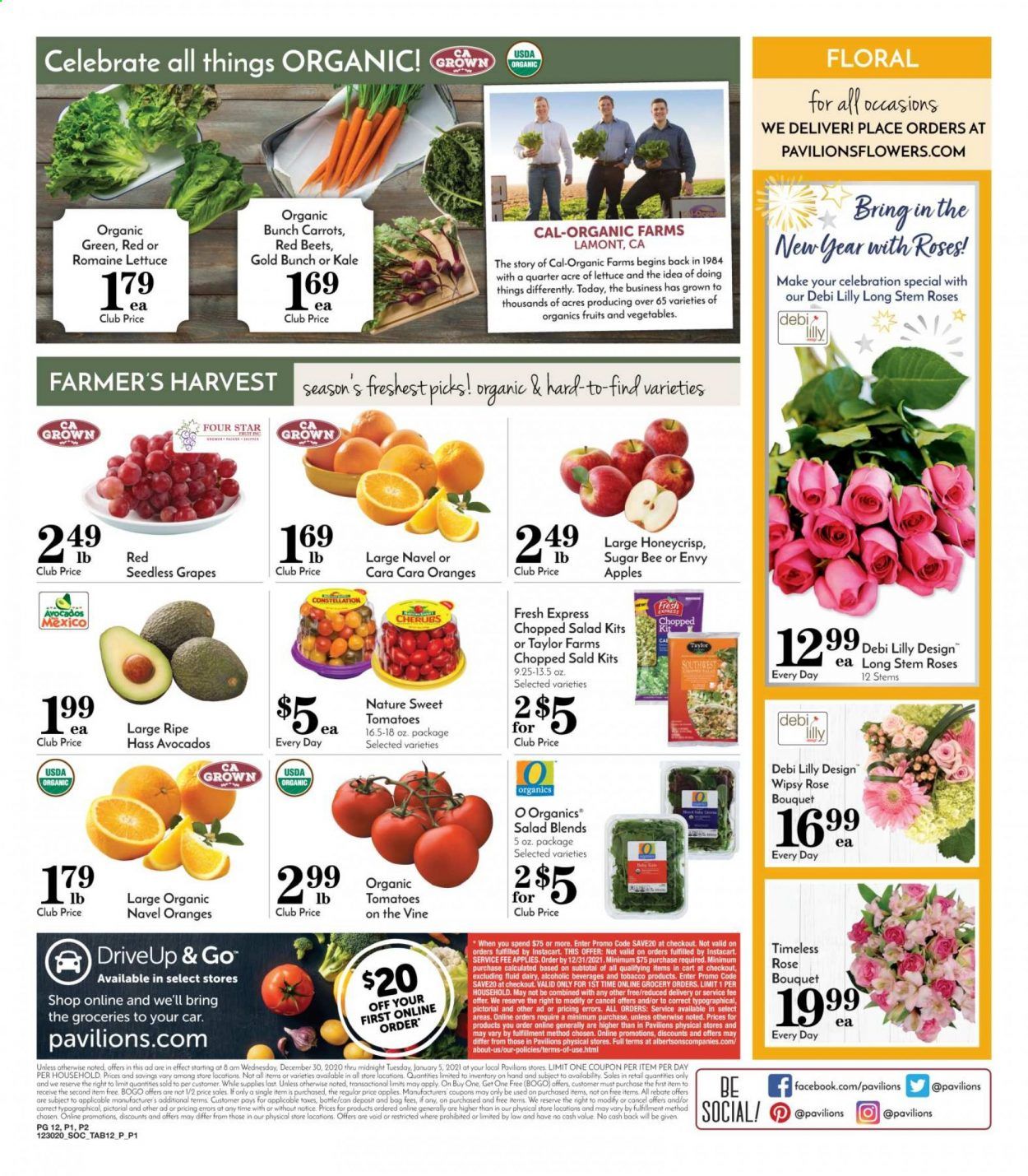 Pavilions (CA) Weekly Ad Flyer December 30 to January 5