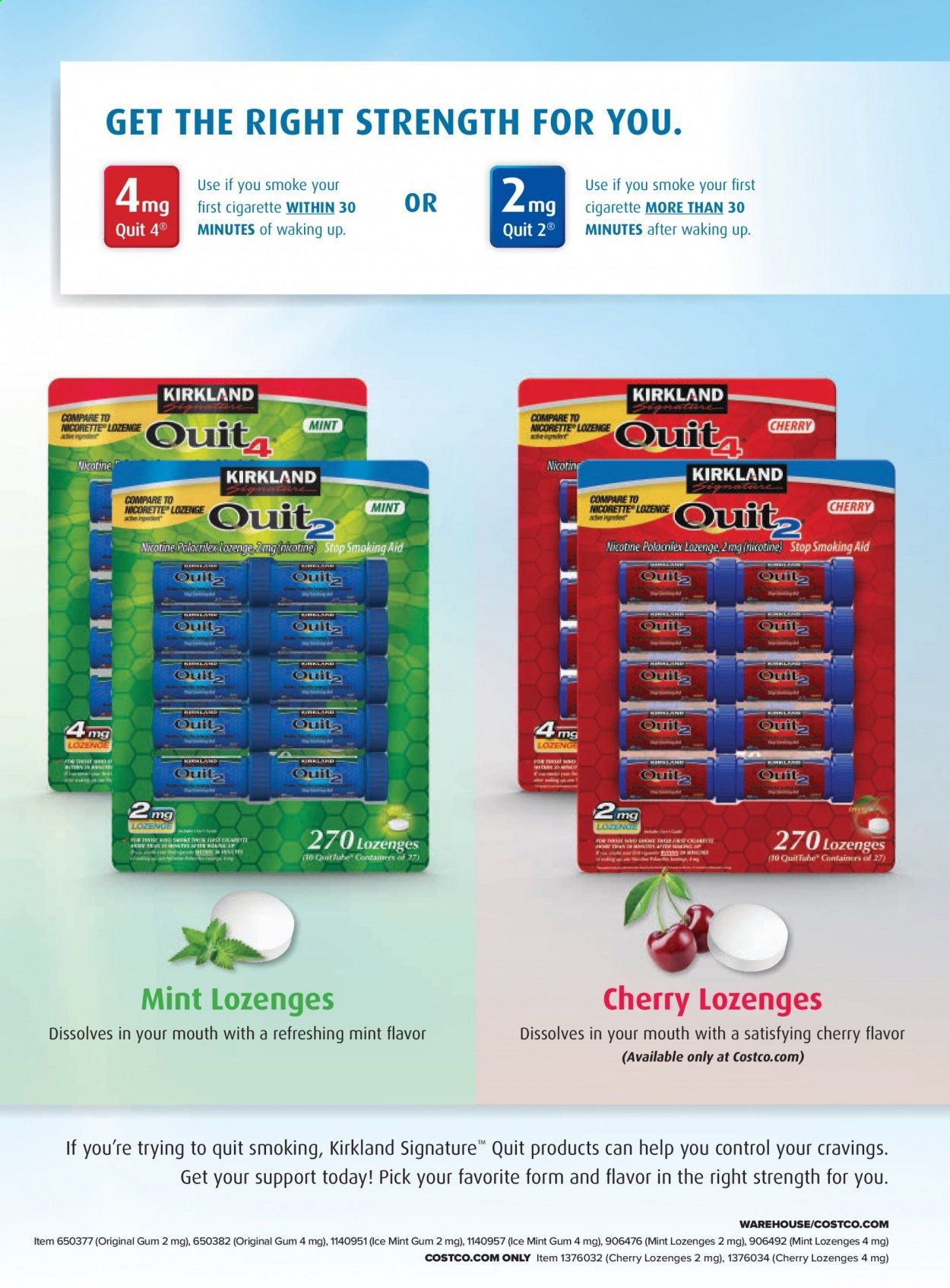 Costco Weekly Ad Flyer January 1 to January 31