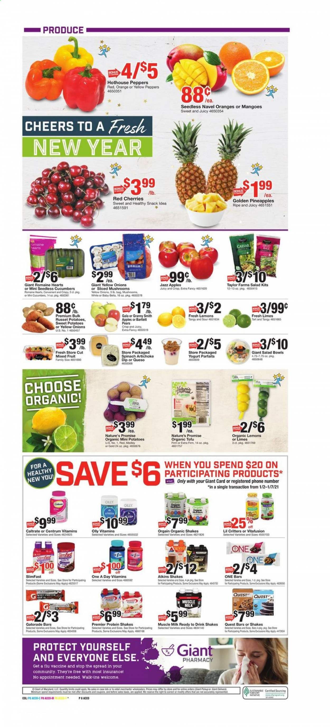 Giant Food Weekly Ad Flyer January 2 to January 7