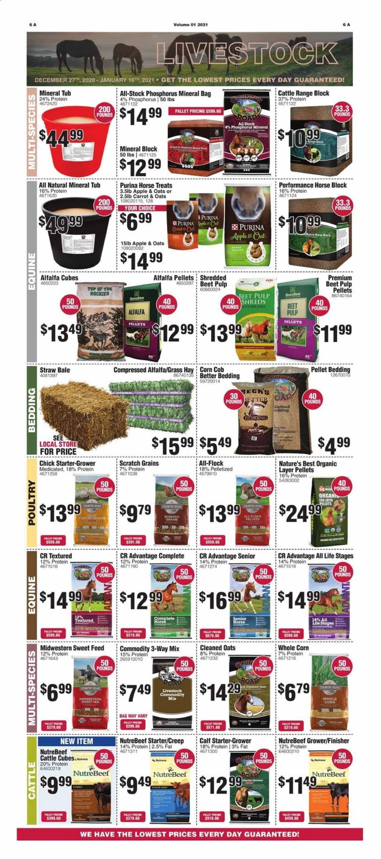Rural King Weekly Ad Flyer December 27 to January 16