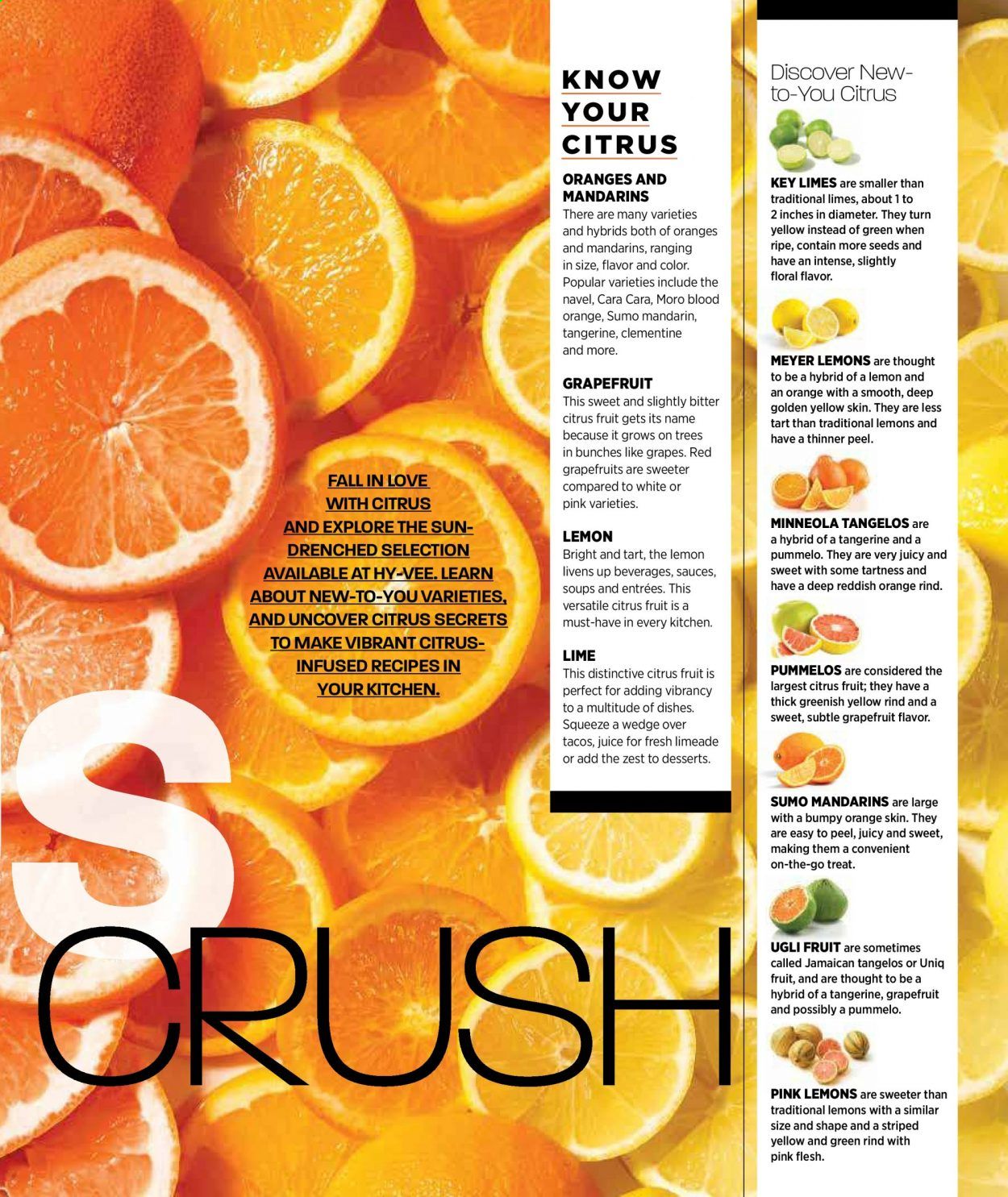 Hy-Vee (IA, IL, KS, MN, MO, NE, SD, WI) Weekly Ad Flyer January 1 to January 31