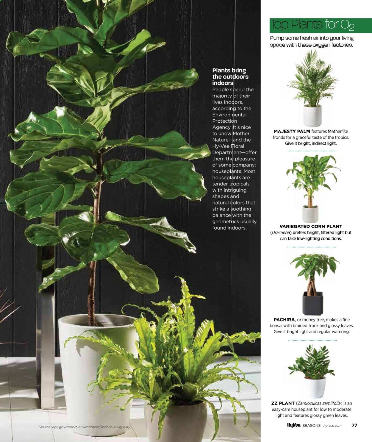 Hy-Vee (IA, IL, KS, MN, MO, NE, SD, WI) Weekly Ad Flyer January 1 to January 31