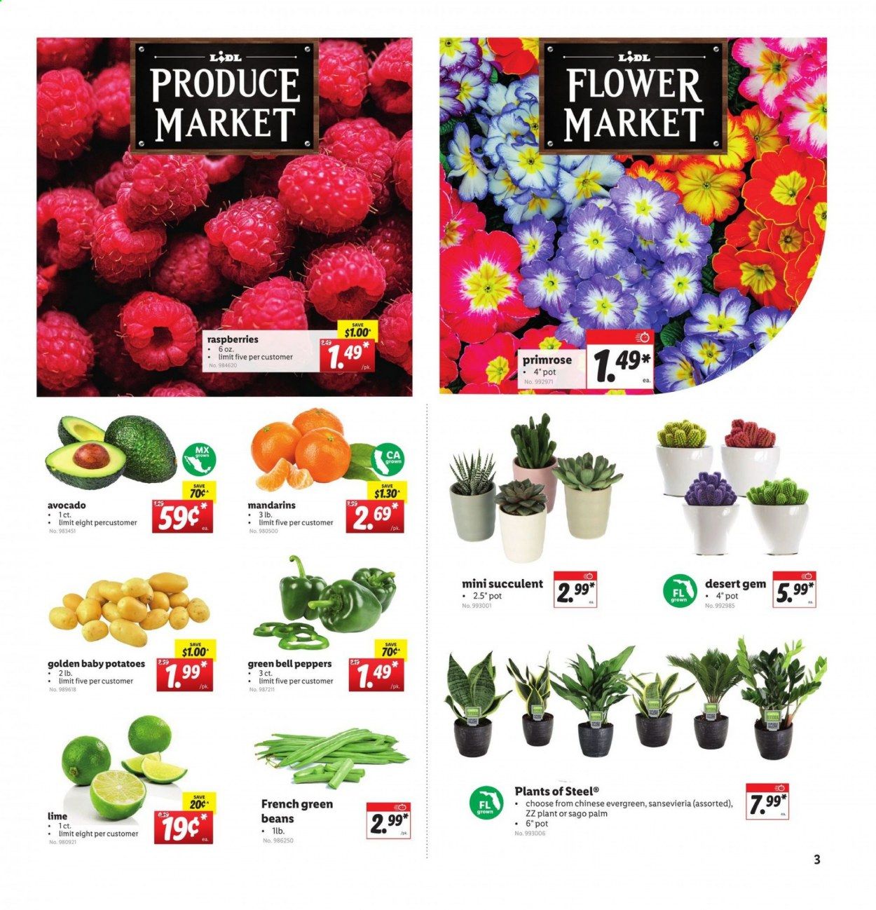 Lidl Weekly Ad Flyer January 6 to January 12