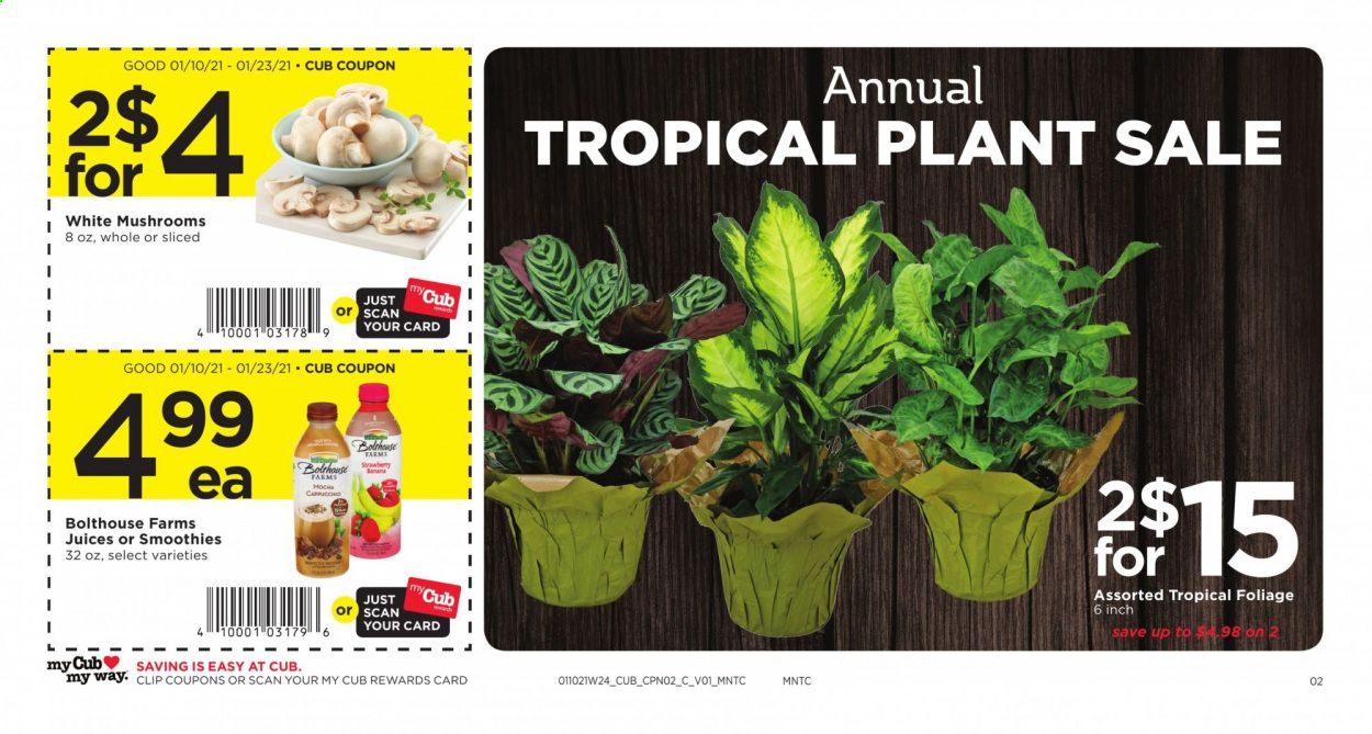 Cub Foods Weekly Ad Flyer January 10 to January 23