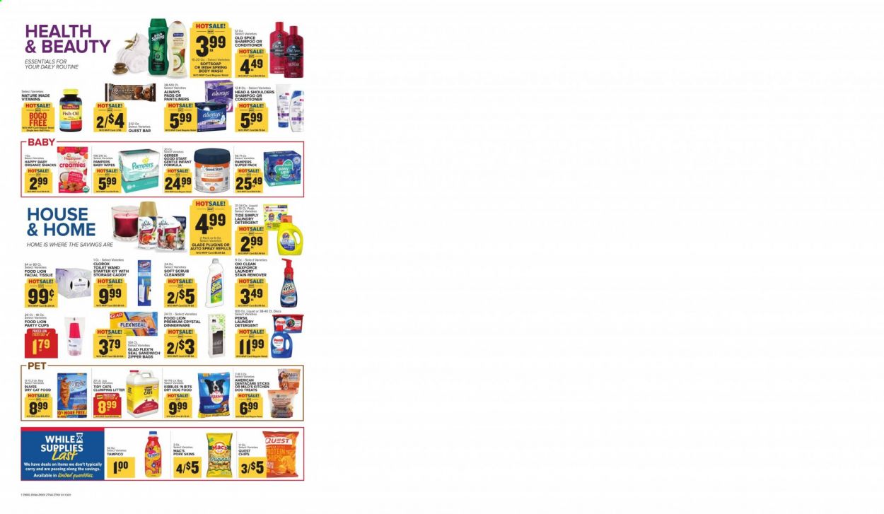 Food Lion (TN) Weekly Ad Flyer January 13 to January 19