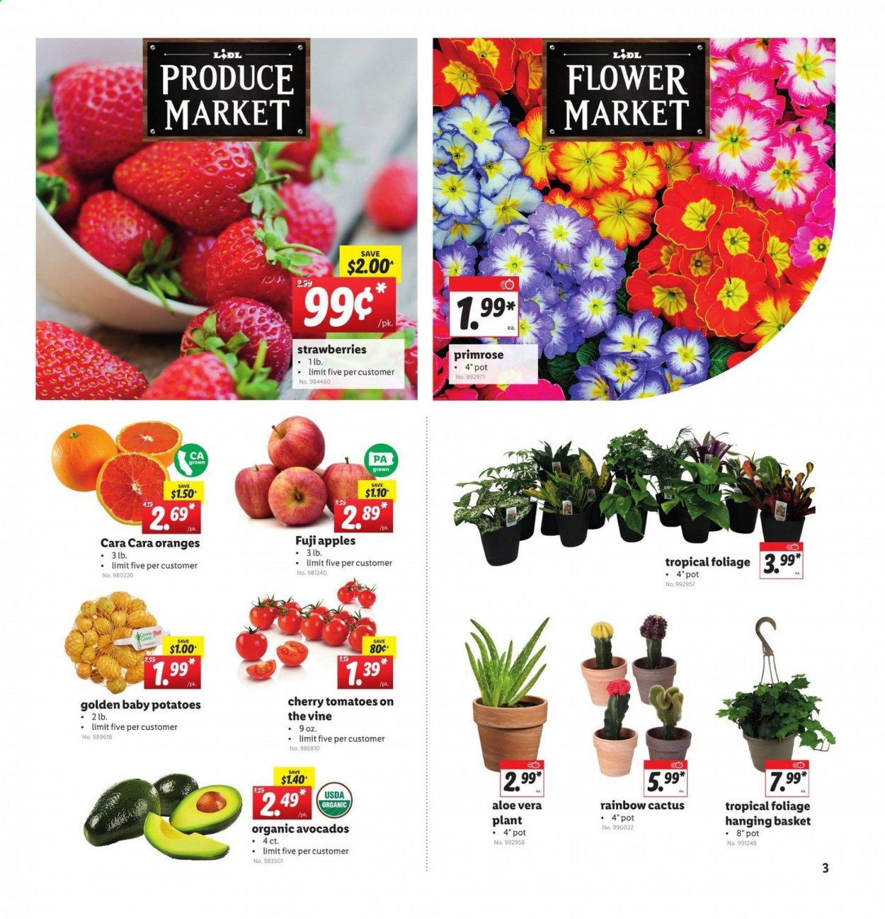 Lidl Weekly Ad Flyer January 20 to January 26