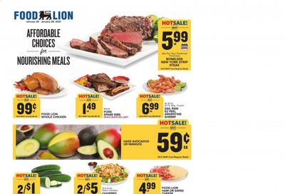 Food Lion (SC) Weekly Ad Flyer January 20 to January 26