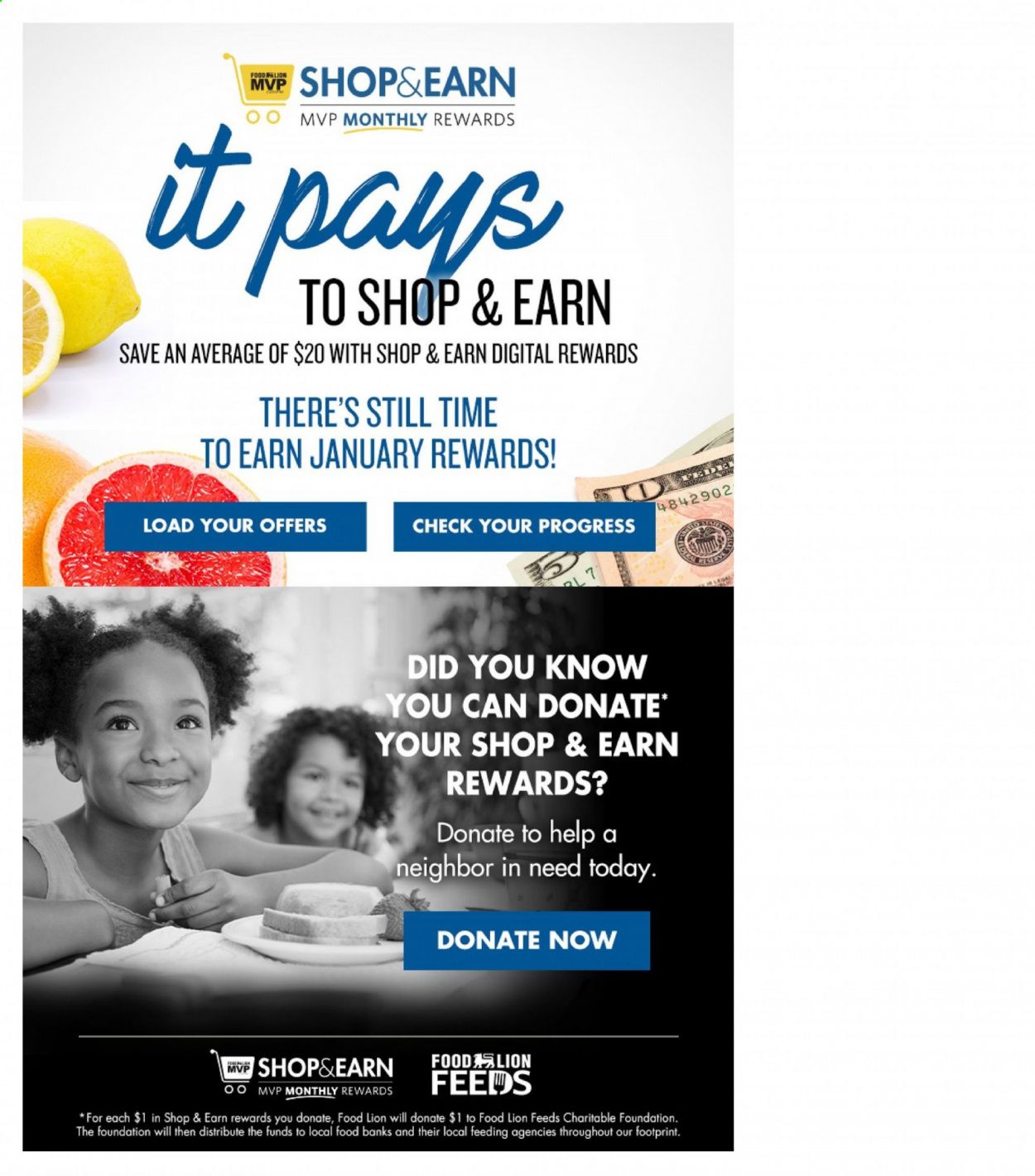 Food Lion (GA) Weekly Ad Flyer January 20 to January 26