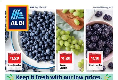 ALDI (GA, TN) Weekly Ad Flyer January 20 to January 26
