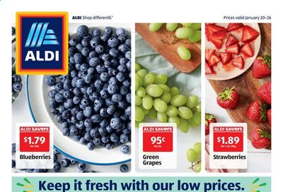 ALDI (GA, SC) Weekly Ad Flyer January 20 to January 26