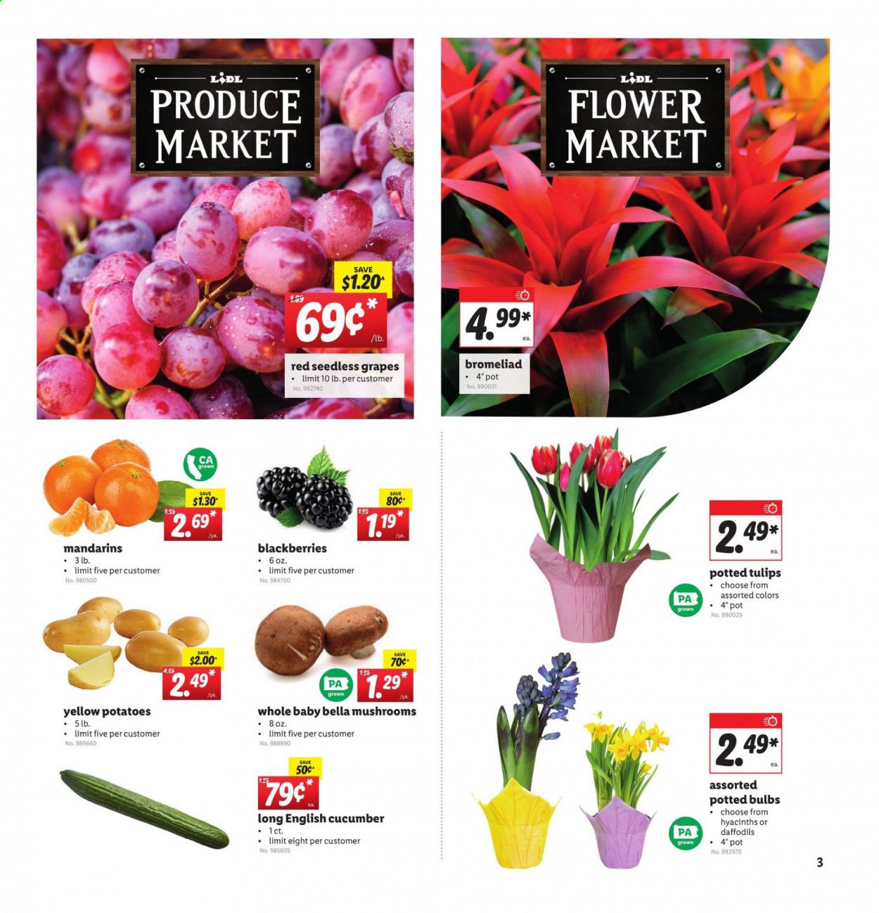 Lidl Weekly Ad Flyer January 27 to February 2