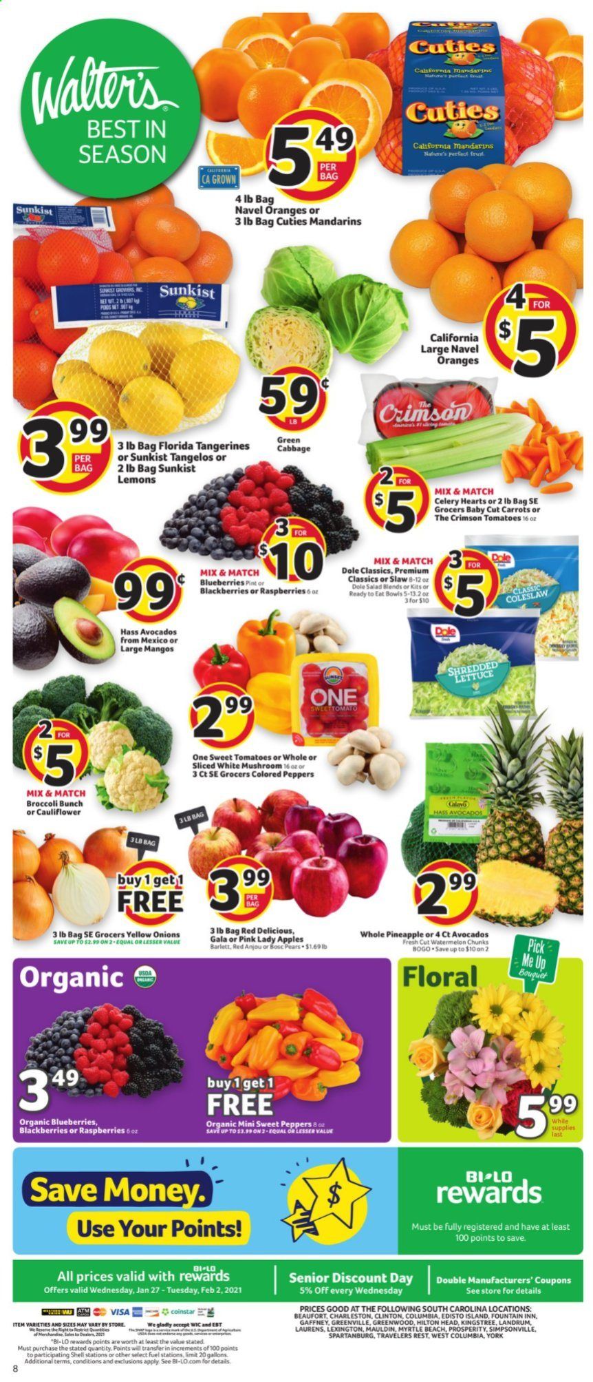 BI-LO Weekly Ad Flyer January 27 to February 2