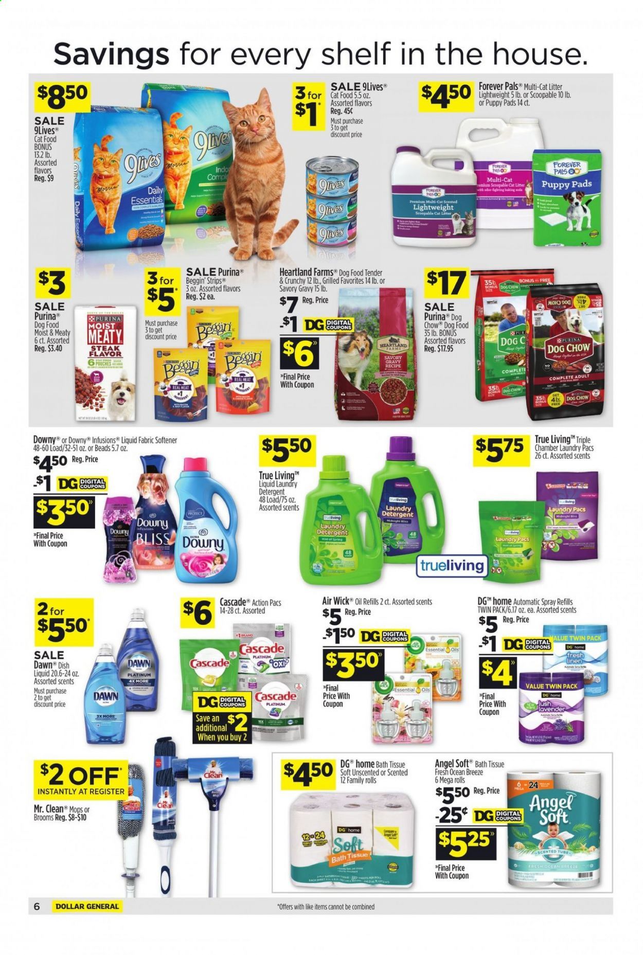 Dollar General (AR, IA, IN, MI, NY, OH, PA) Weekly Ad Flyer January 31 to February 6