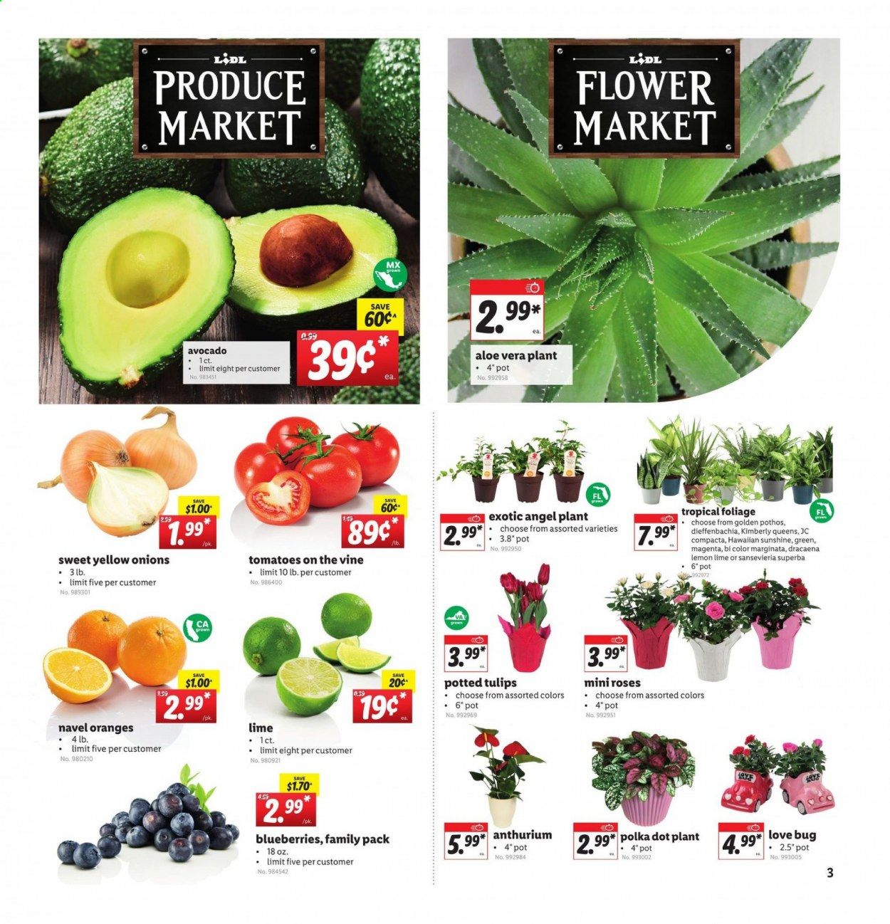 Lidl Weekly Ad Flyer February 3 to February 9