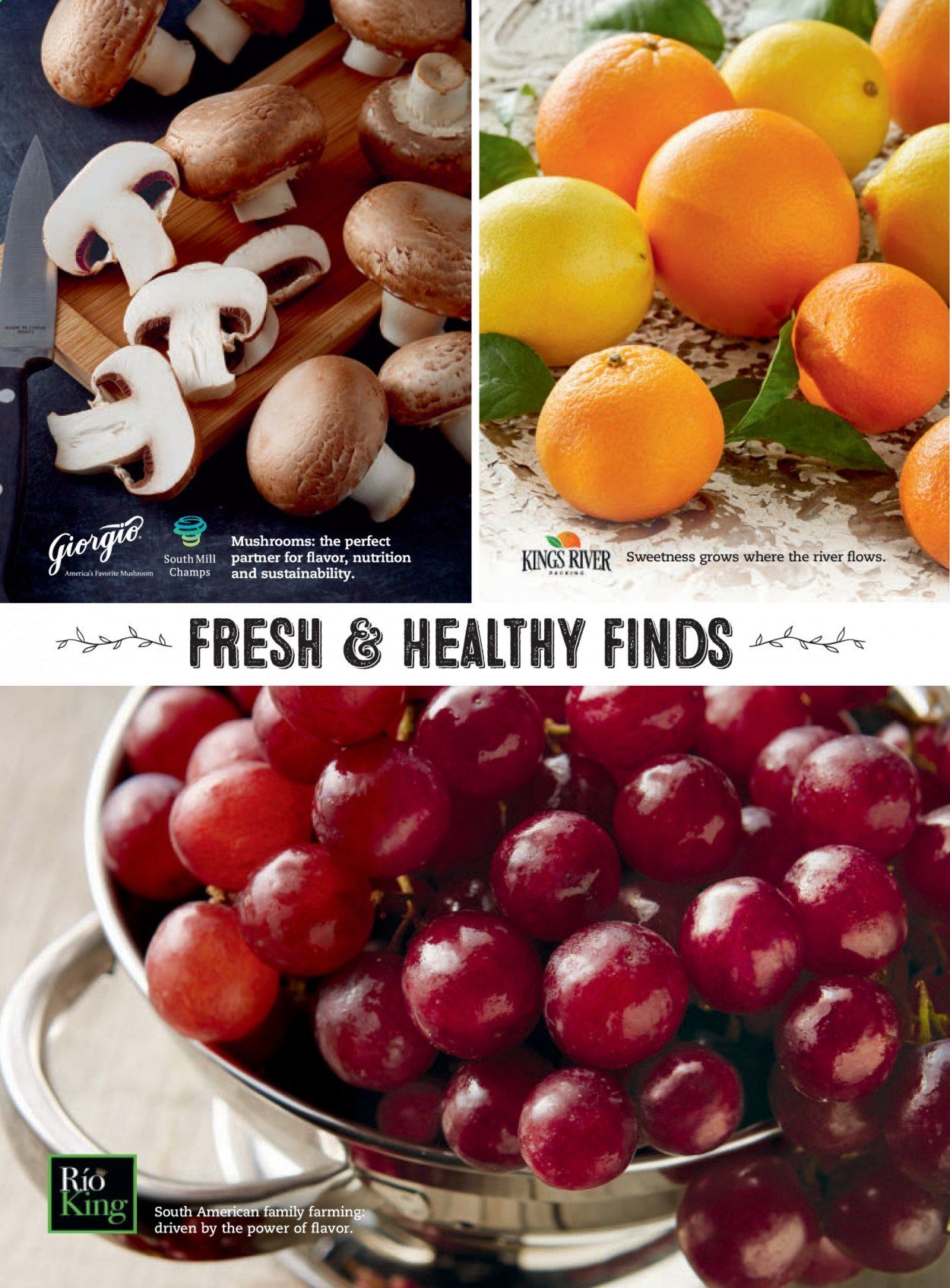 Costco Weekly Ad Flyer February 1 to February 28