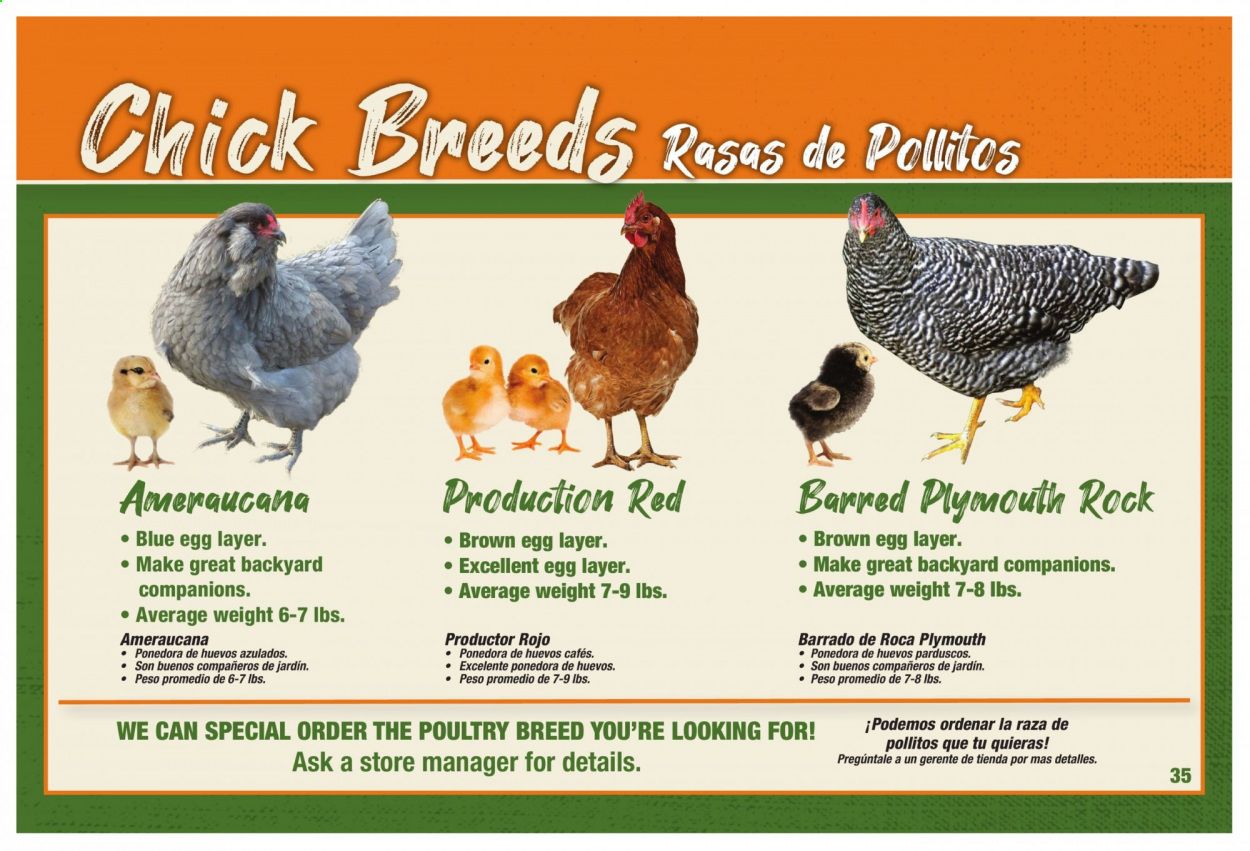 Orscheln Farm and Home Weekly Ad Flyer February 3 to December 31