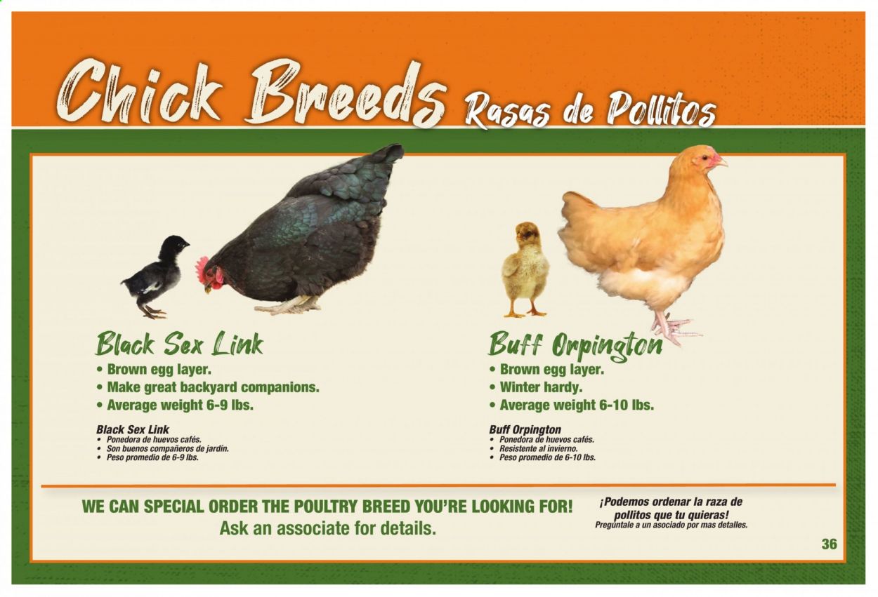 Orscheln Farm and Home Weekly Ad Flyer February 3 to December 31