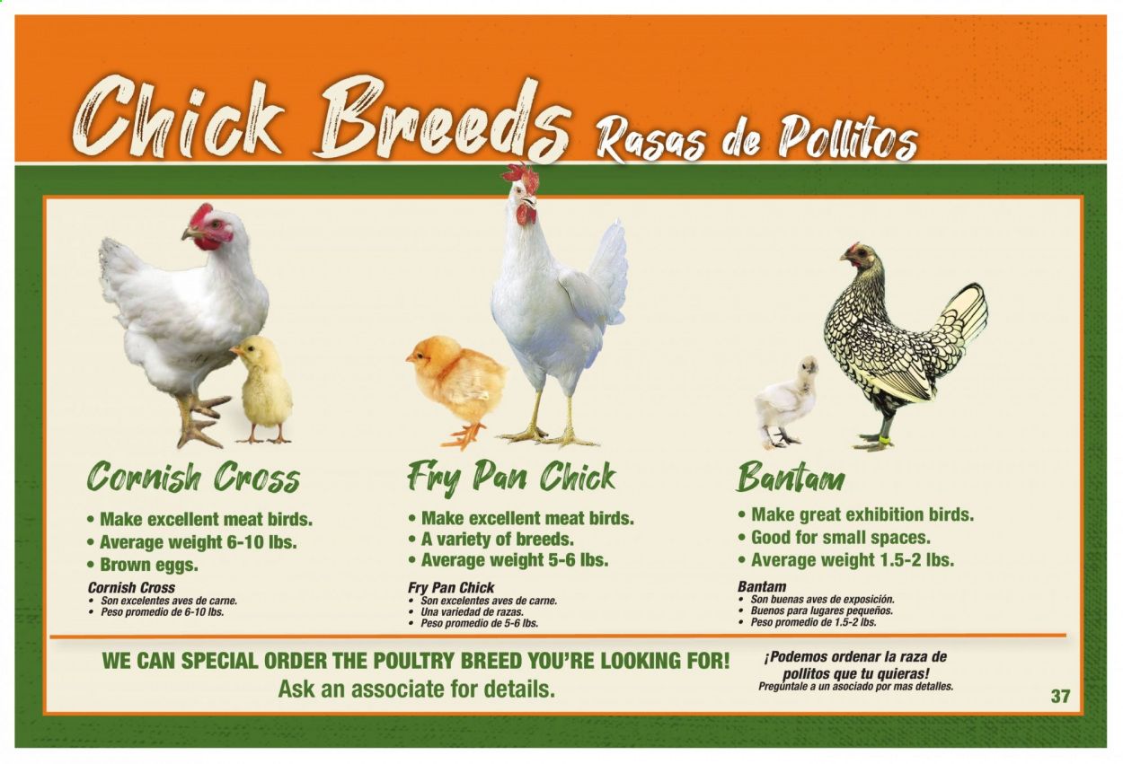 Orscheln Farm and Home Weekly Ad Flyer February 3 to December 31