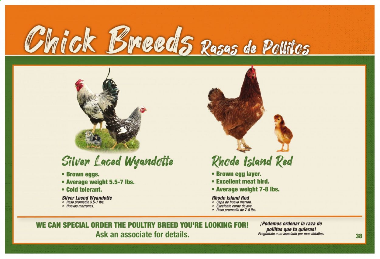Orscheln Farm and Home Weekly Ad Flyer February 3 to December 31
