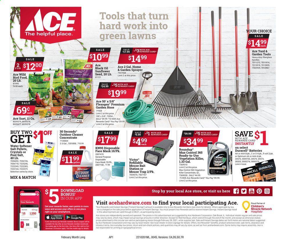 ACE Hardware Weekly Ad Flyer February 1 to February 28